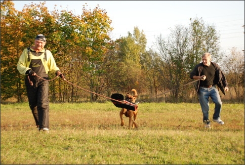 Training in Estonia 9/2007